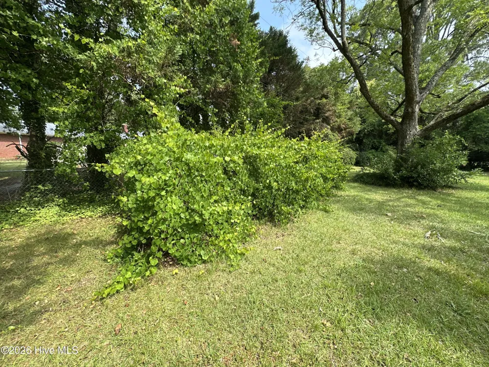 309 Pecan Lane Laurinburg, NC 28352