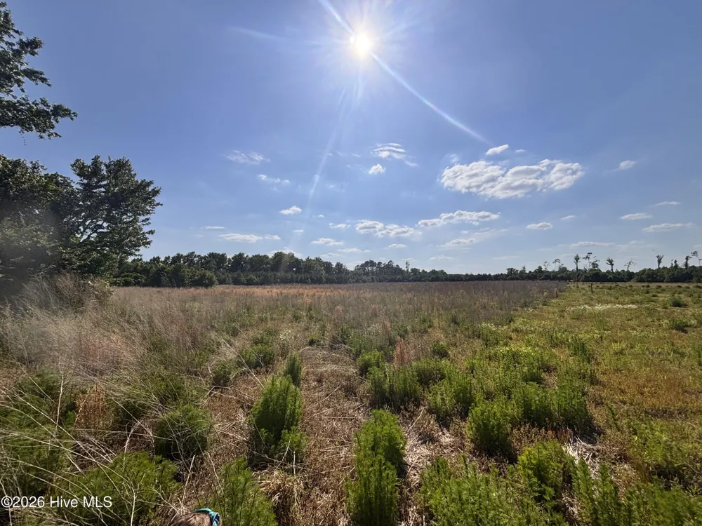 Lot 2 Bass Lake Road Clinton, NC 28328