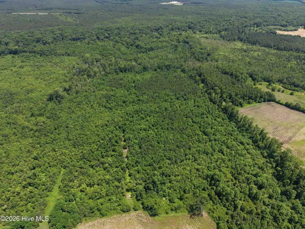 Lot 2 Bass Lake Road Clinton, NC 28328