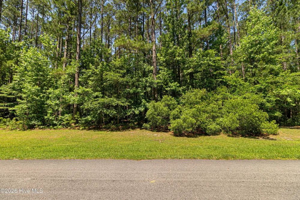 313 Antebellum Drive Havelock, NC 28532