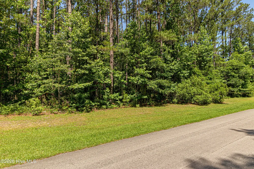 313 Antebellum Drive Havelock, NC 28532