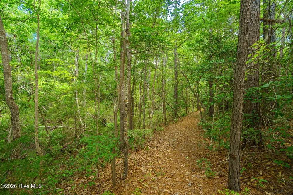313 Antebellum Drive Havelock, NC 28532