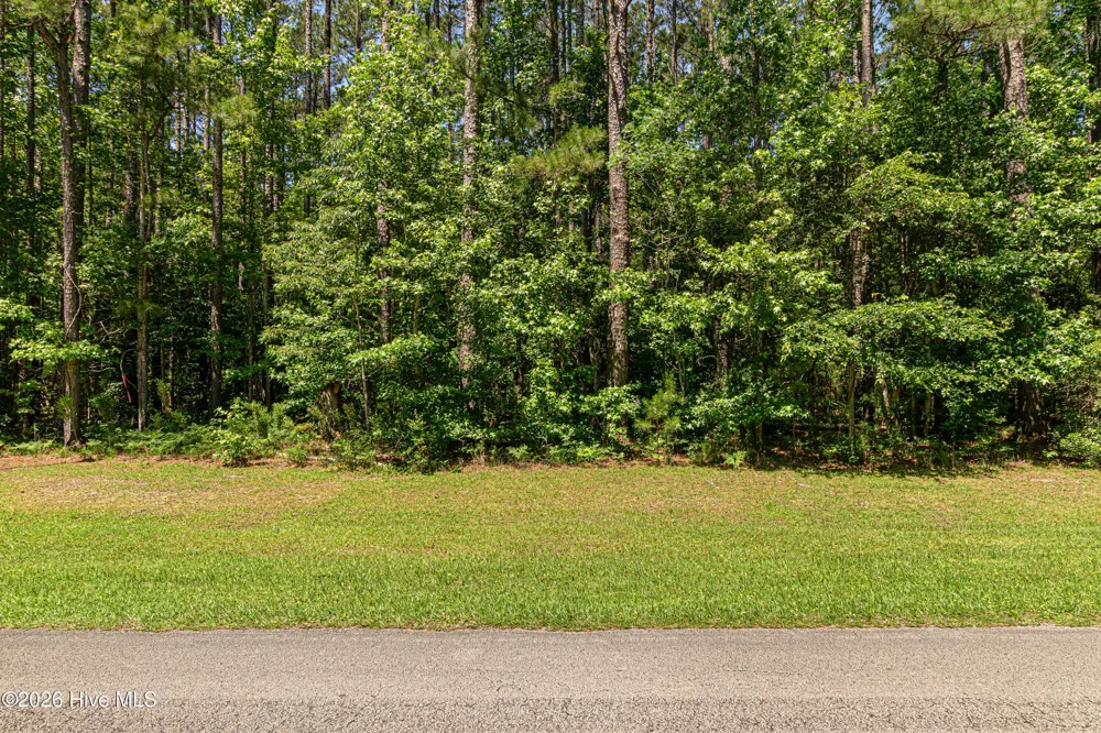 313 Antebellum Drive Havelock, NC 28532