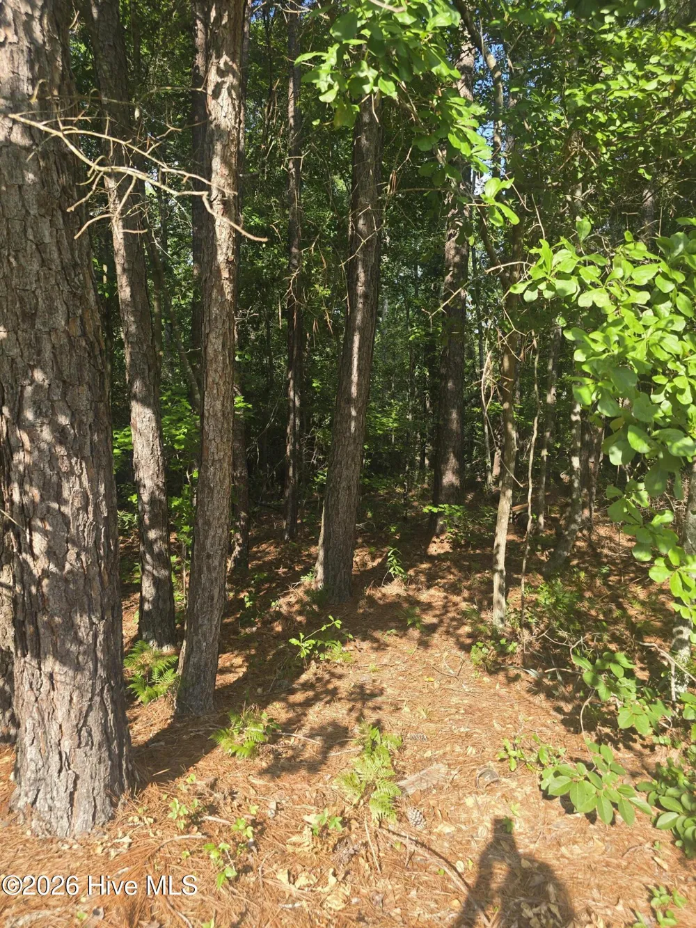 3454 Lewis Road Augusta, GA 30909
