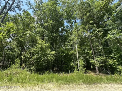 Lot 17 Lakeshore Estates Drive