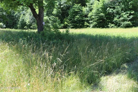 55,56,96 Daylily Drive