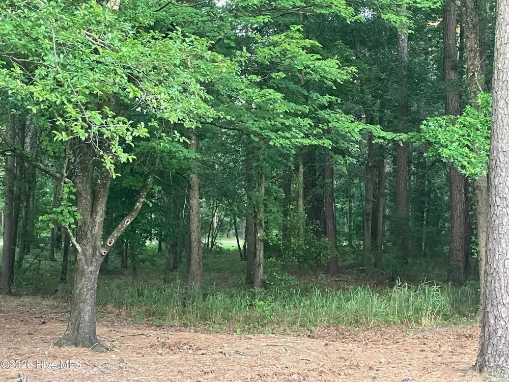 112 Riverstone Run Drive Wallace, NC 28466