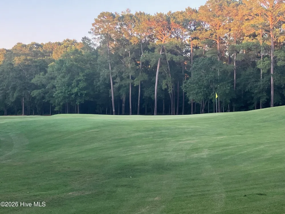112 Riverstone Run Drive Wallace, NC 28466