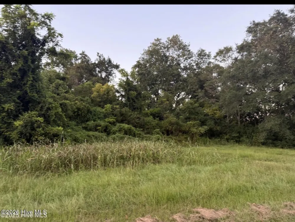 1337 Off Sr 1337 On Pollocksville, NC 28573