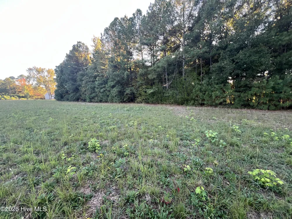 8526 Highway 158 Littleton, NC 27850