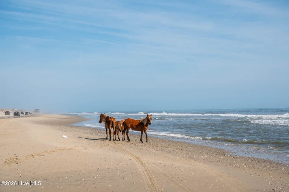 2086 Sandpiper Road Corolla, NC 27927