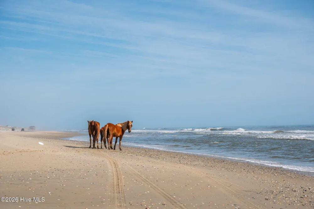 2086 Sandpiper Road Corolla, NC 27927