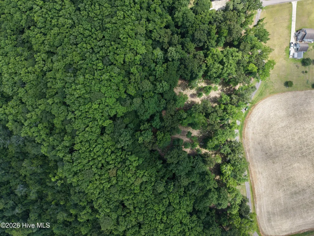 462 Batchelor Bay Drive Windsor, NC 27983