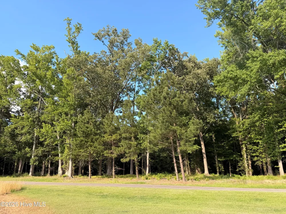 462 Batchelor Bay Drive Windsor, NC 27983