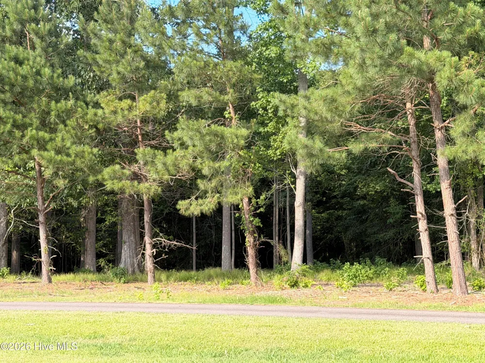 460 Batchelor Bay Drive Windsor, NC 27983