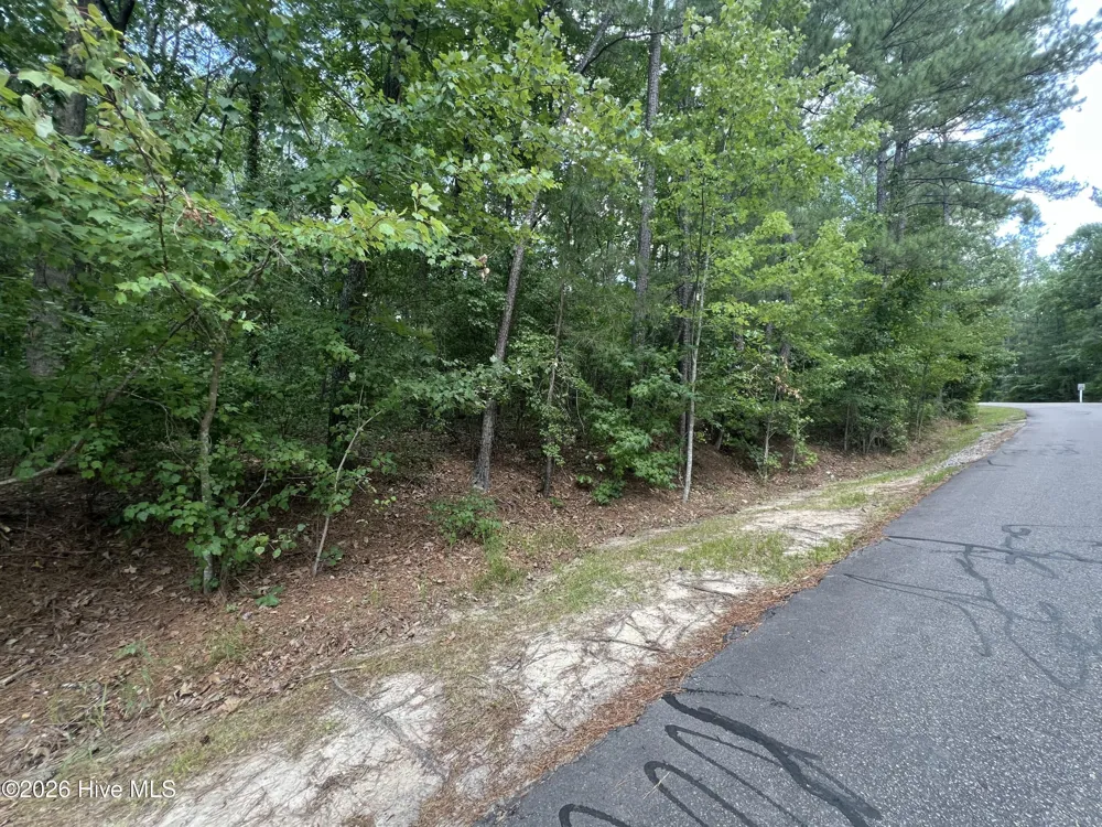 307 Thimbleberry Drive Vass, NC 28394