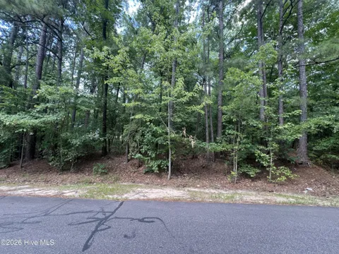 307 Thimbleberry Drive