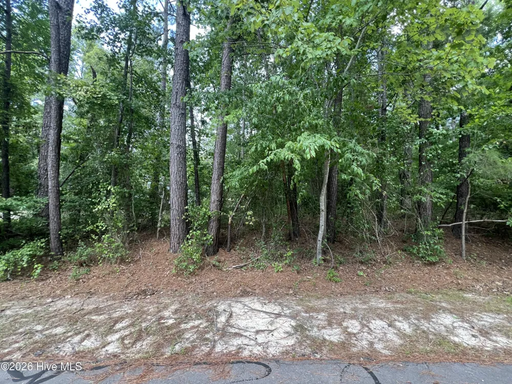 307 Thimbleberry Drive Vass, NC 28394