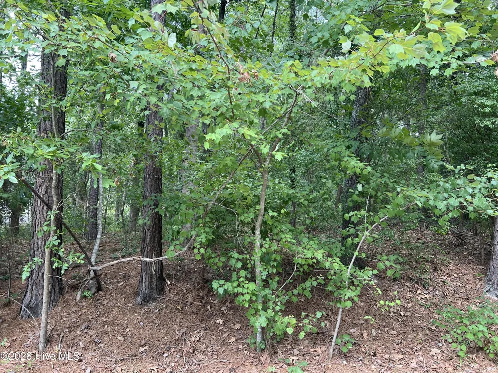 307 Thimbleberry Drive Vass, NC 28394