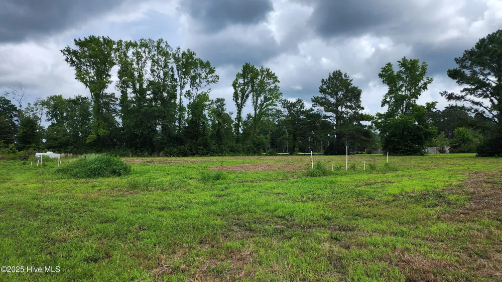 111 Blanche Street Chadbourn, NC 28431