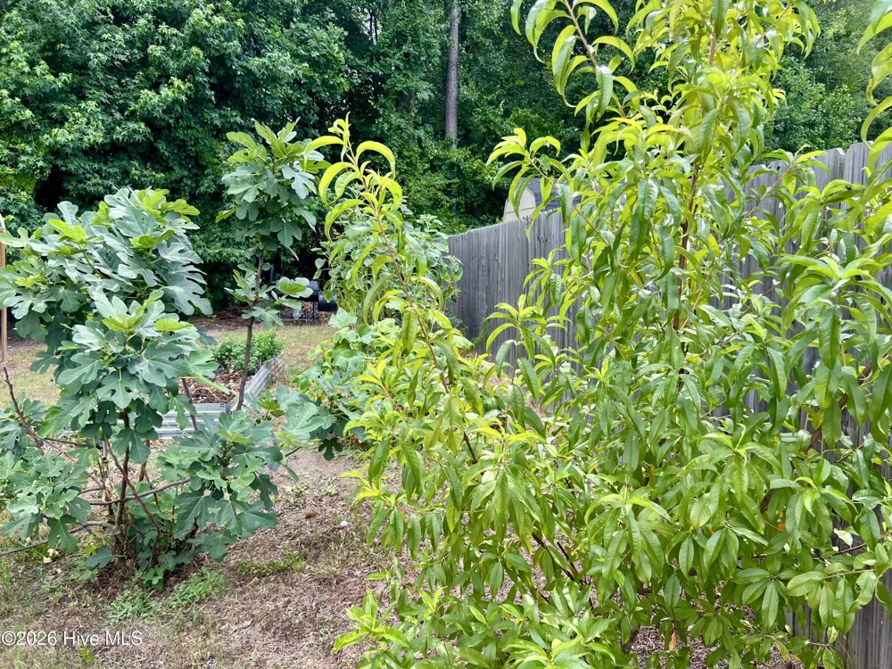 143 Fawnbrook Drive Four Oaks, NC 27524