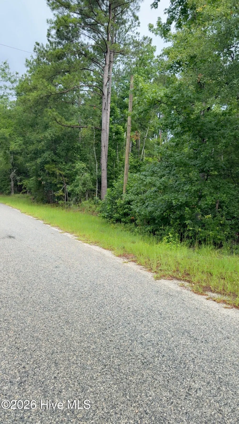 Lot 18 Long Horn Waynesboro, GA 30830