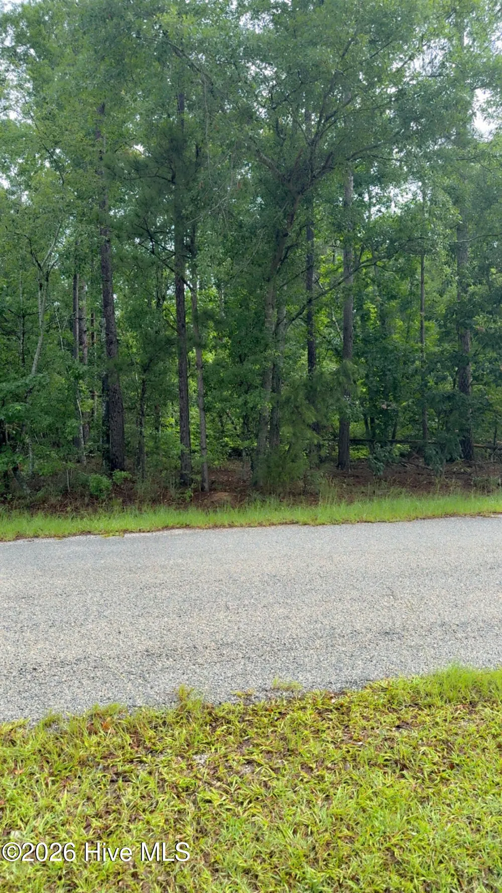 Lot 18 Long Horn Waynesboro, GA 30830