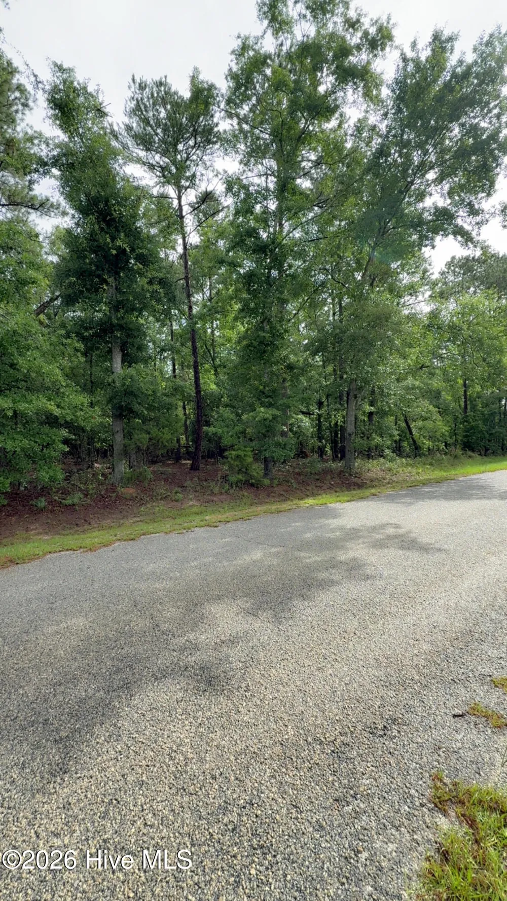 Lot 18 Long Horn Waynesboro, GA 30830