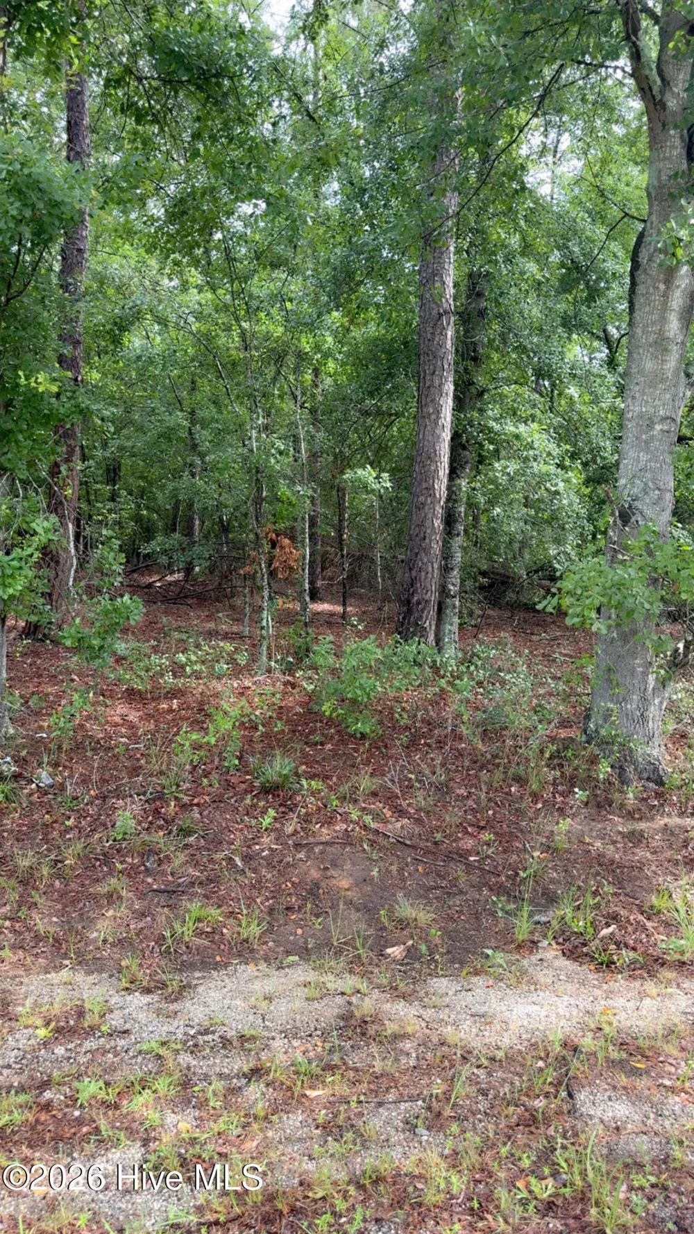 Lot 18 Long Horn Waynesboro, GA 30830