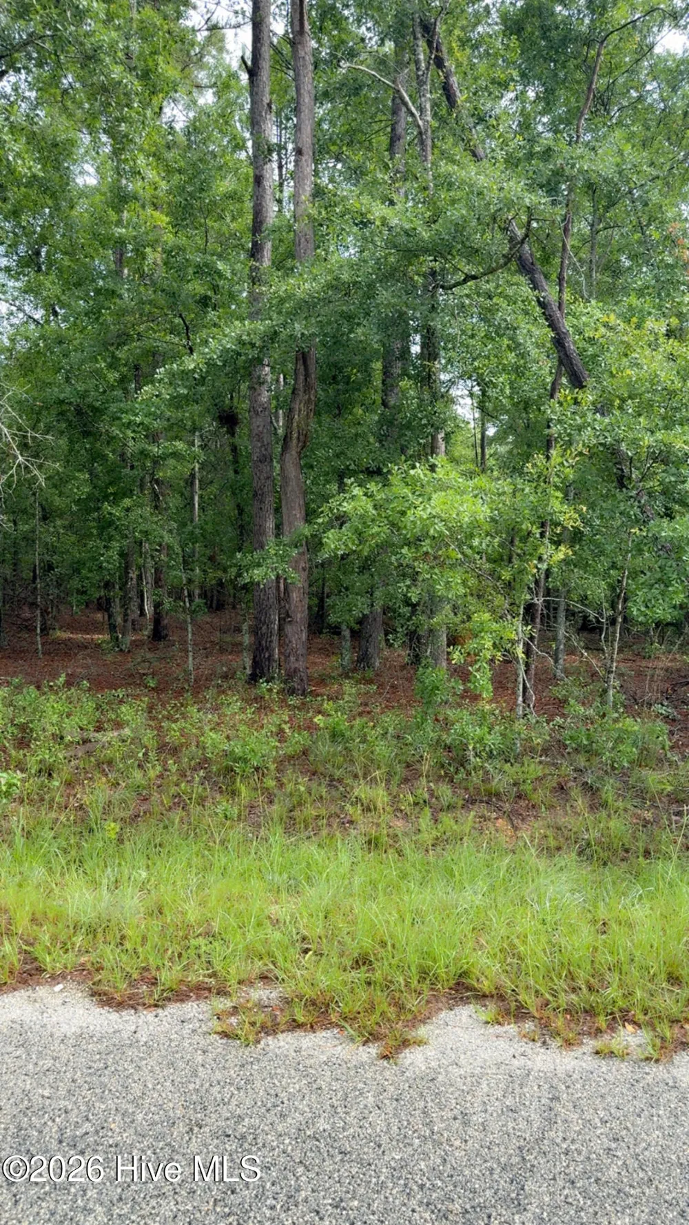Lot 18 Long Horn Waynesboro, GA 30830
