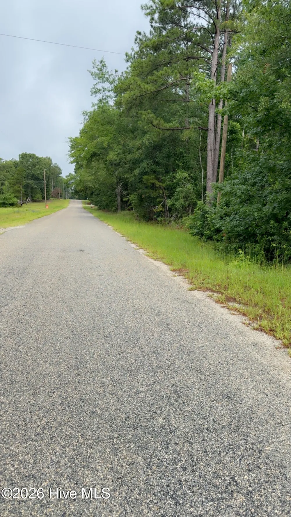 Lot 18 Long Horn Waynesboro, GA 30830