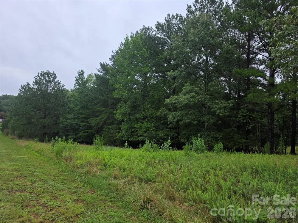 283 Rivercliff Drive Stony Point, NC 28678