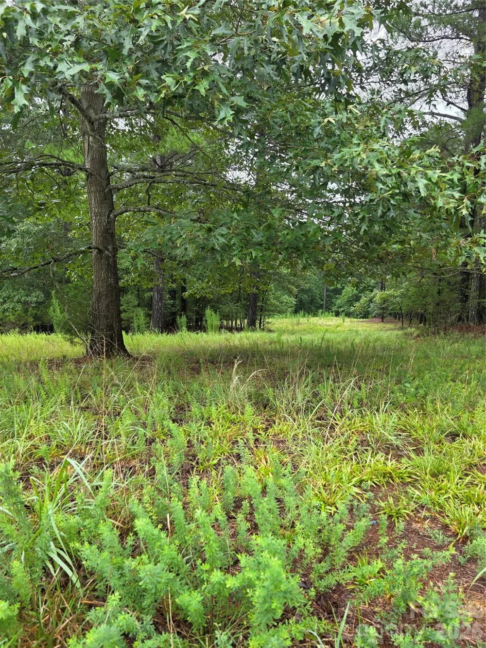 283 Rivercliff Drive Stony Point, NC 28678