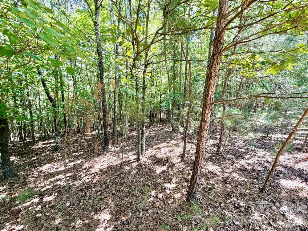283 Rivercliff Drive Stony Point, NC 28678