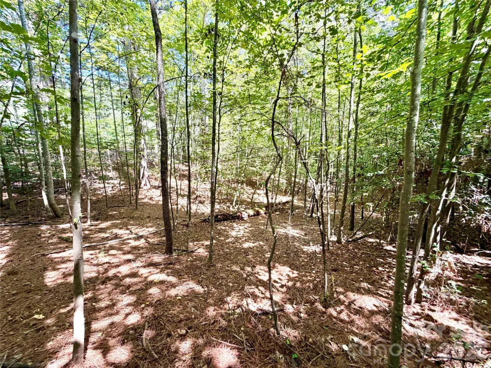 283 Rivercliff Drive Stony Point, NC 28678