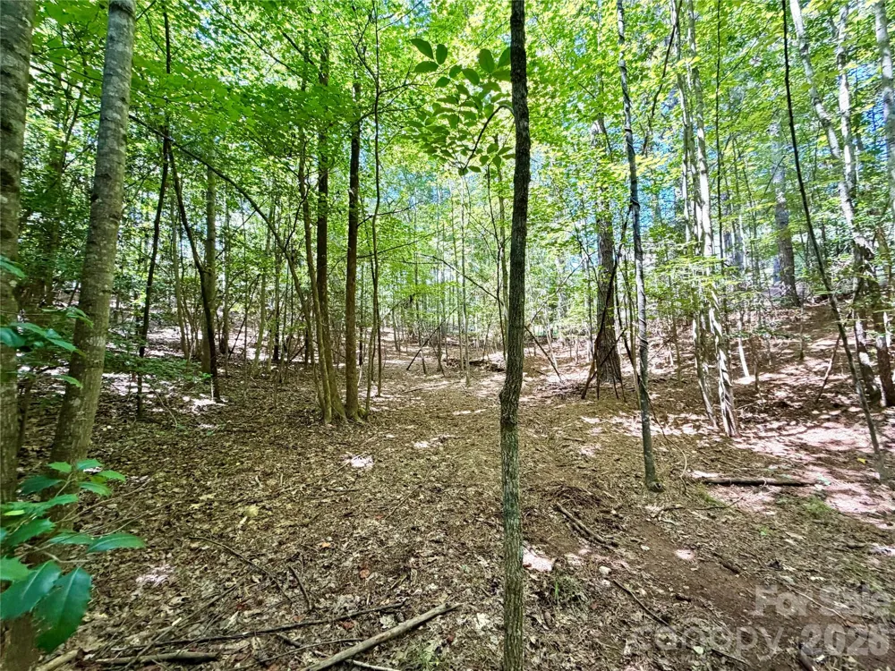 283 Rivercliff Drive Stony Point, NC 28678