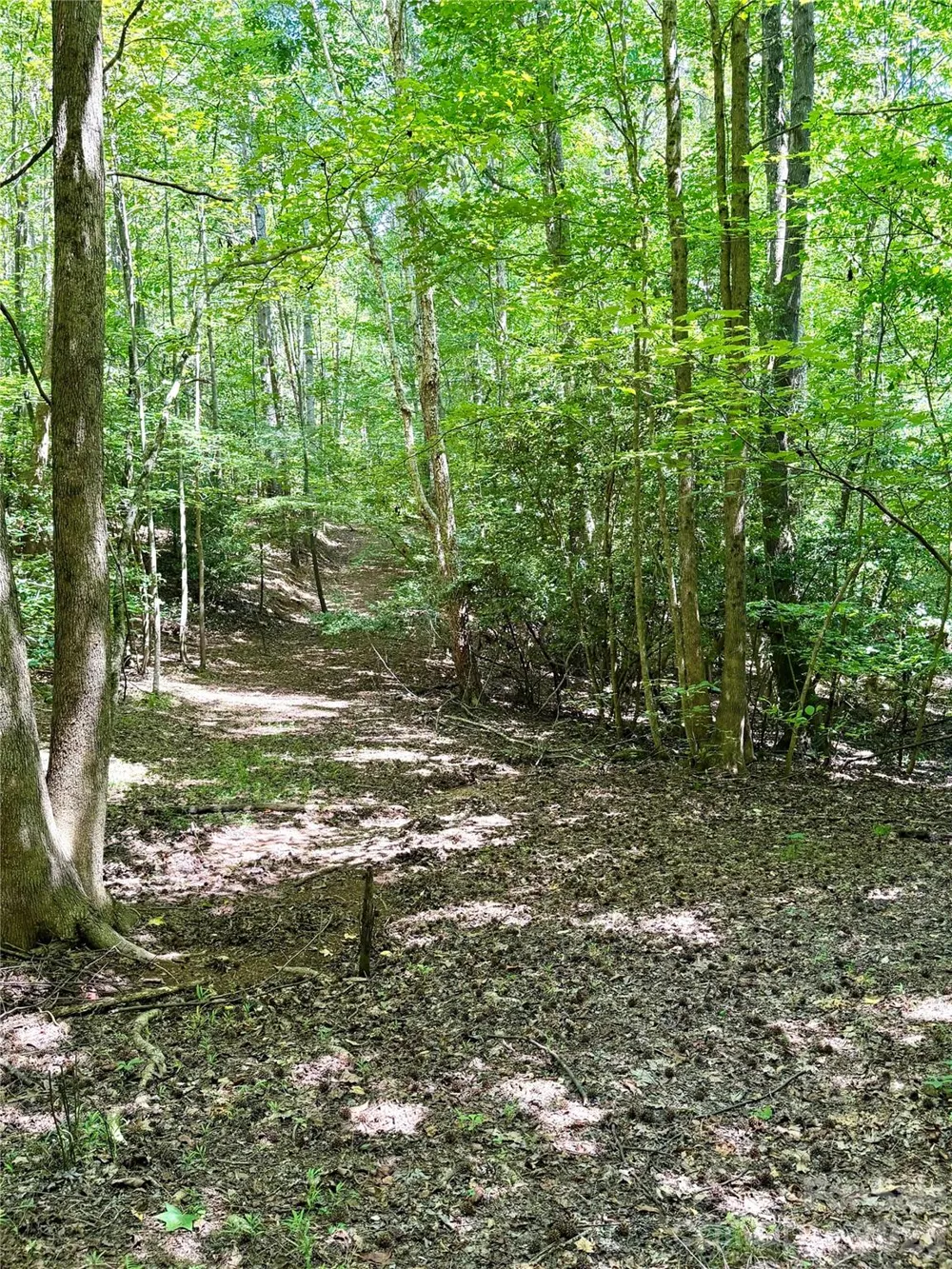 283 Rivercliff Drive Stony Point, NC 28678