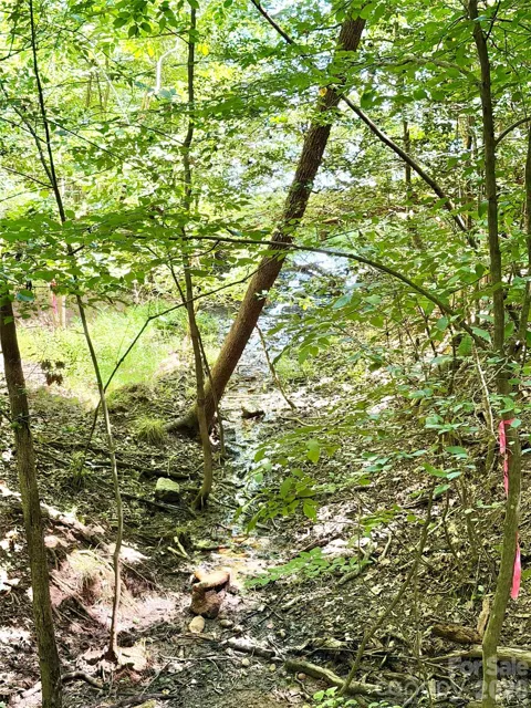 283 Rivercliff Drive