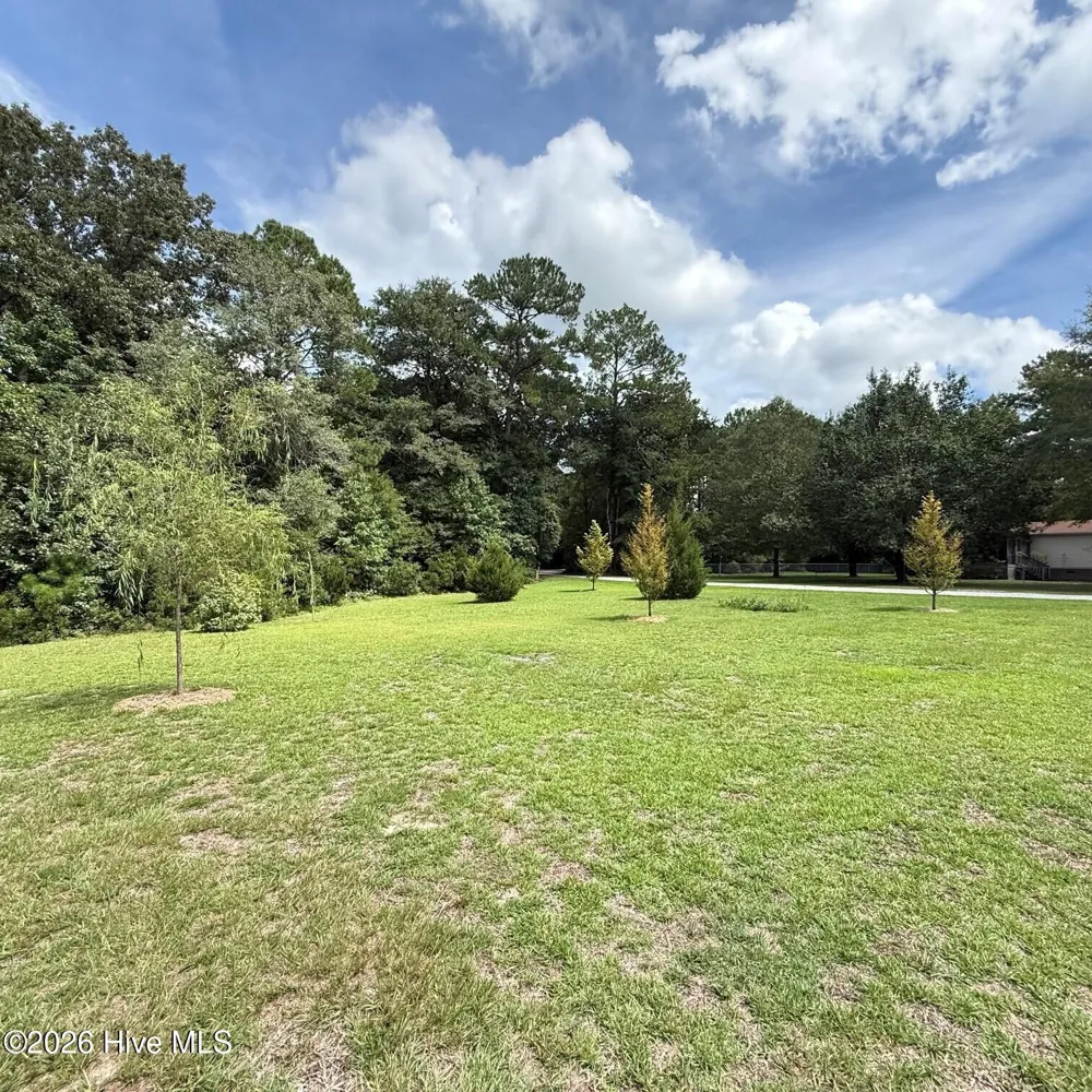 230 Bowers Lane Currie, NC 28435
