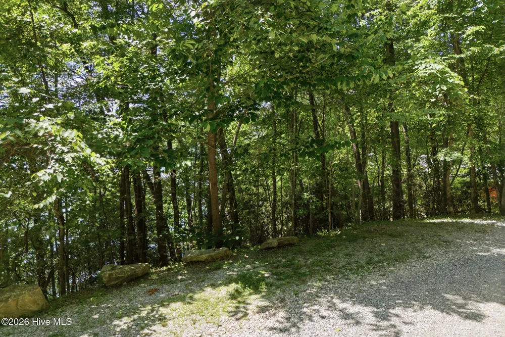 820 Chimney Ridge Drive Topton, NC 28781