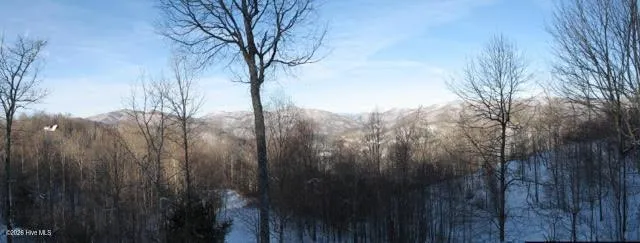 820 Chimney Ridge Drive Topton, NC 28781