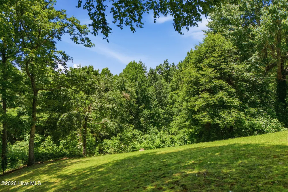 820 Chimney Ridge Drive Topton, NC 28781