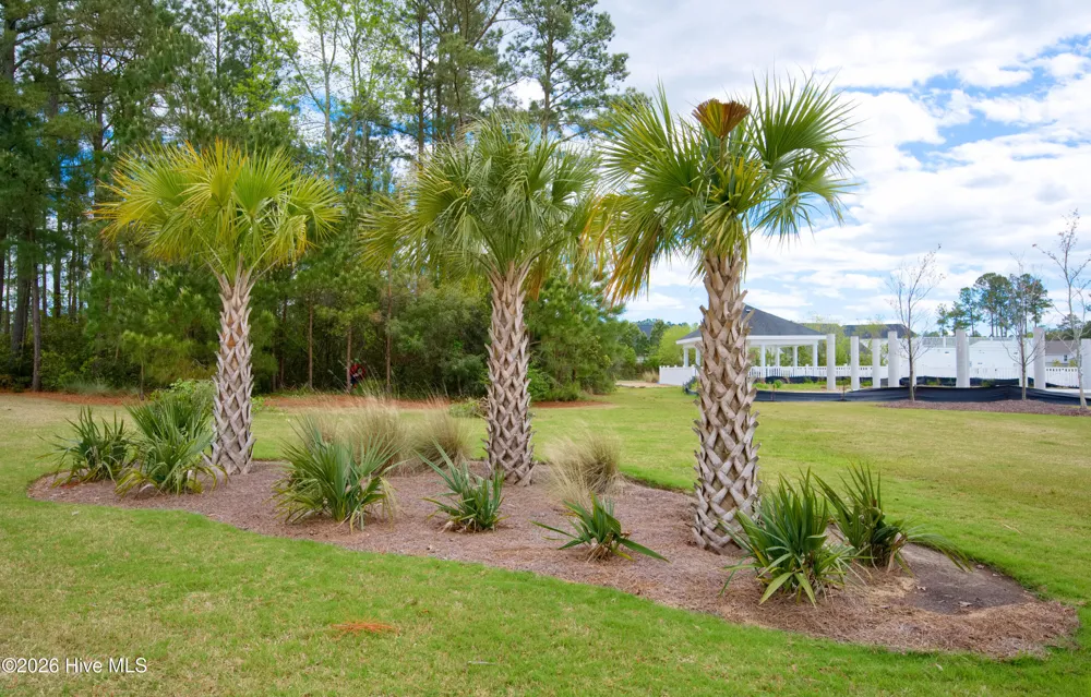 1215 Middleton Drive NW #2906 Calabash, NC 28467
