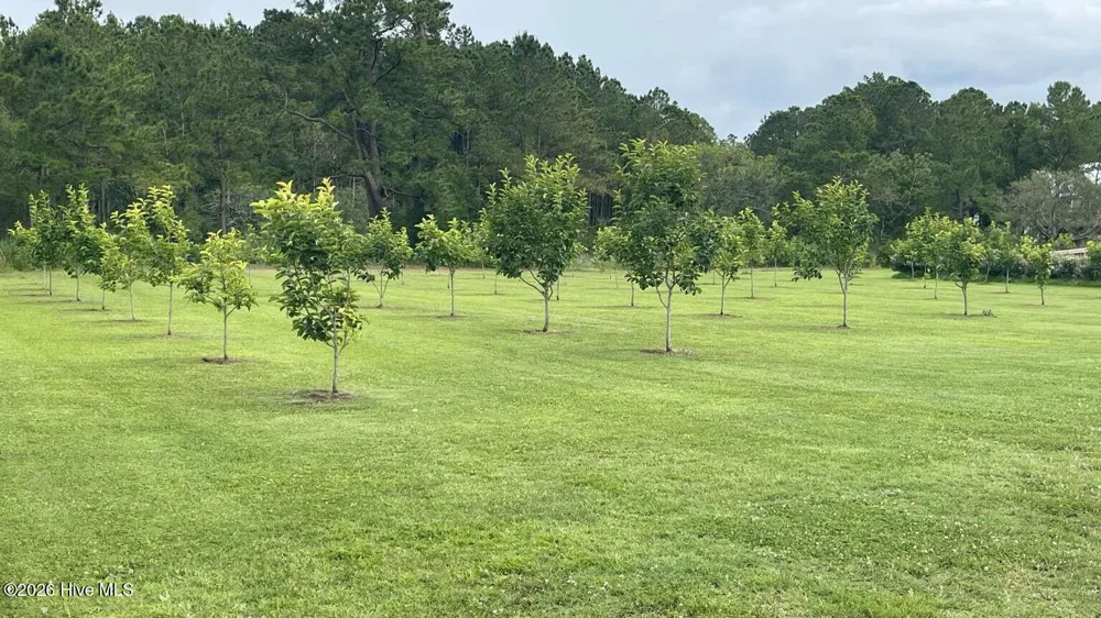 3927 Whortonsville Road Merritt, NC 28556