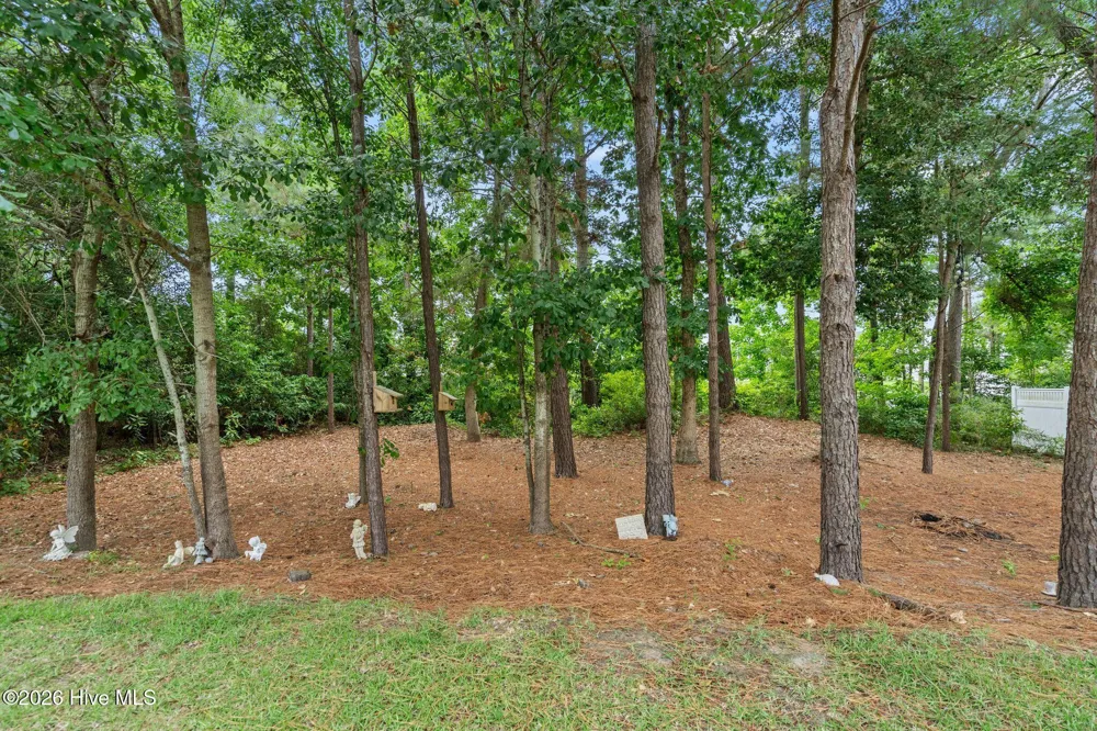 107 Whispering Pine Lane Holly Ridge, NC 28445
