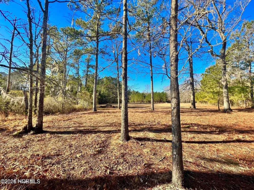 Lot 35 Smugglers Cove Belhaven, NC 27810