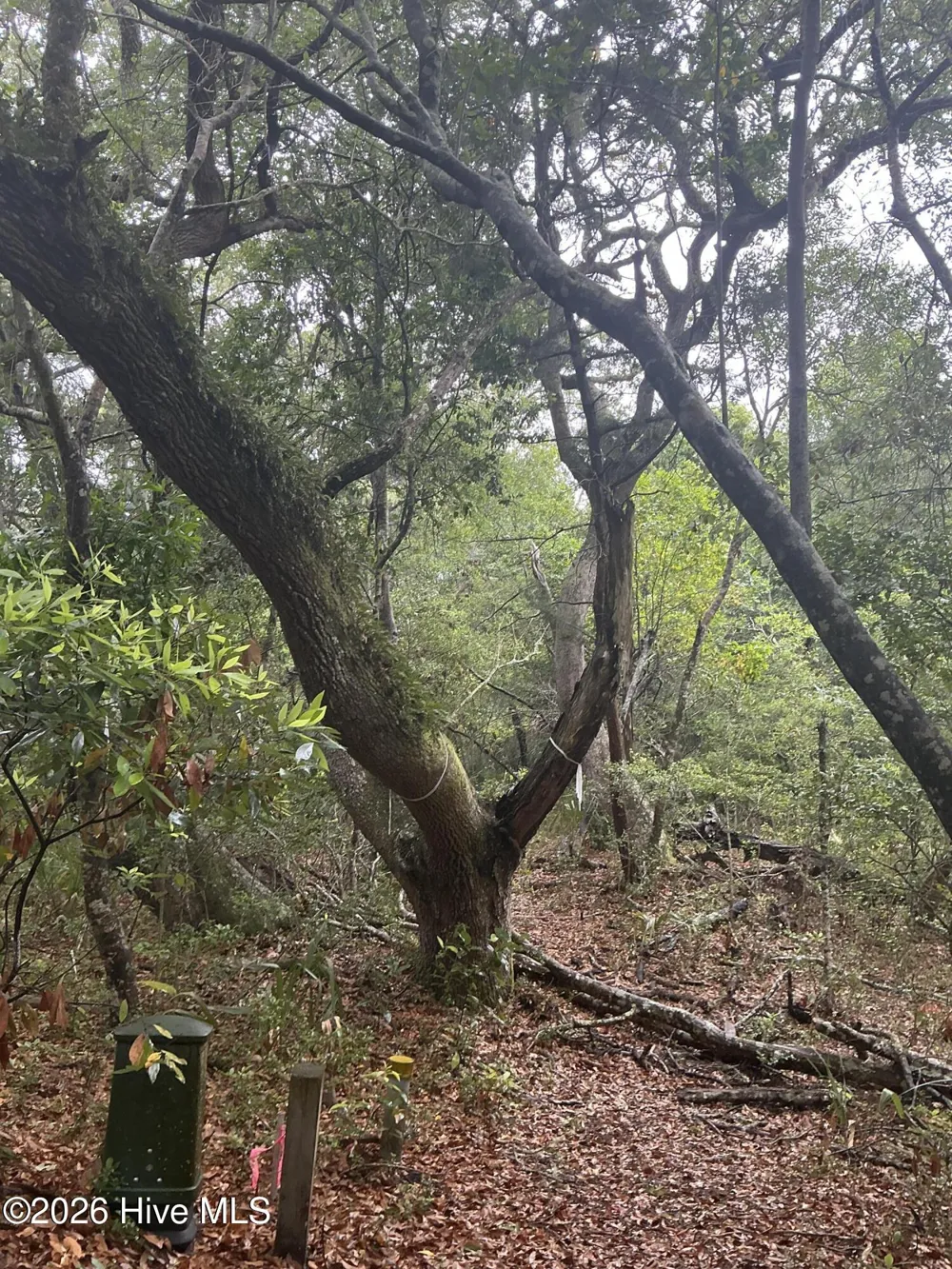 8 Leopard Frog Court Bald Head Island, NC 28461