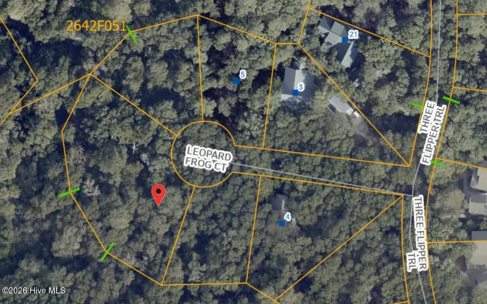 8 Leopard Frog Court Bald Head Island, NC 28461