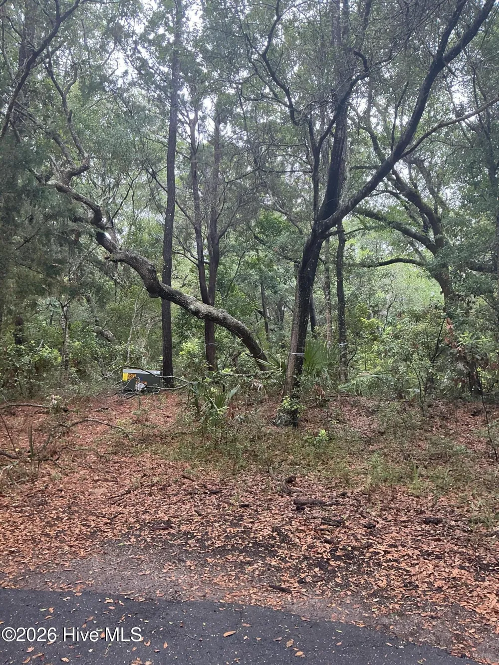 8 Leopard Frog Court Bald Head Island, NC 28461