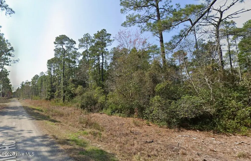 0 Maple Road Boiling Spring Lakes, NC 28461